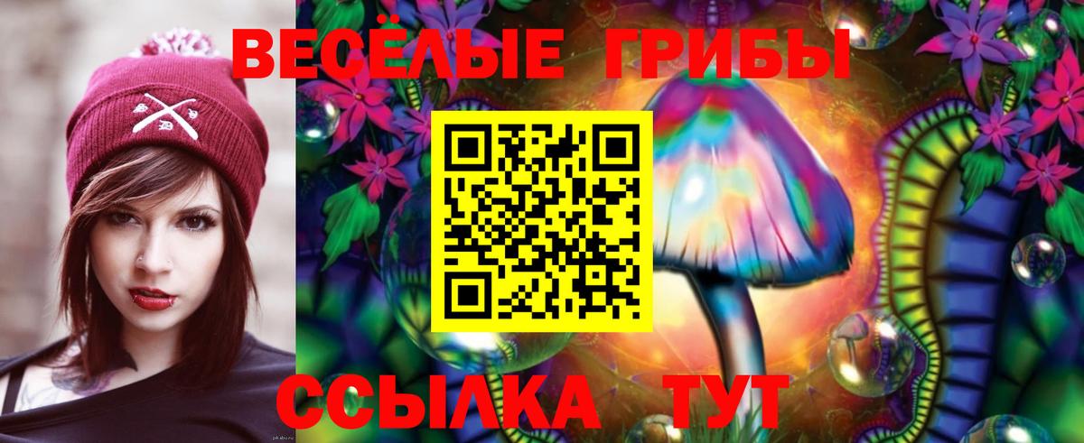 Псилоцибиновые грибы Cubensis Орск