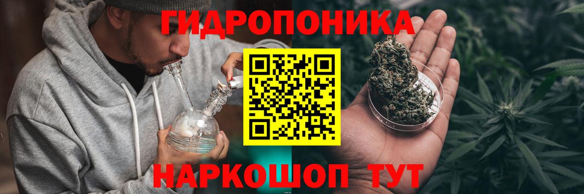 Конопля White Widow  Вход с VPN  Орск  Конопля индика  МАРИХУАНА сатива 